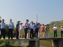 陈廷剑督导濑溪河龙岗段污染治理  