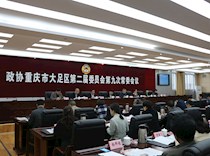 区政协召开二届九次常委会