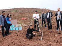 区政协开展“政协委员林”管护活动