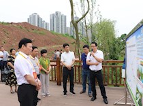 市区政协委员视察全区推进河长制工作