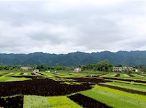 大力鼓励民营资本下乡 助推美丽乡村建设