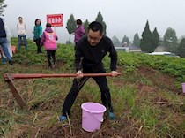 开展秋季栽果 助力乡村振兴