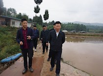 坚持绿色发展 建好美丽乡村