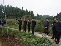 坚持绿色发展 建好美丽乡村