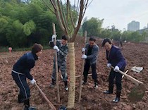 区领导参加机关植树活动