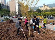 区领导参加机关植树活动