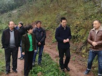 民建界别赵小华主委率队调研季家镇扶贫产业