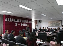 区领导看望参会委员