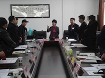区领导看望参会委员
