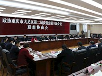 区政协二届三次会议举行联组协商