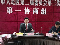 分组审议