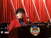 区政协二届三次会议第二次大会