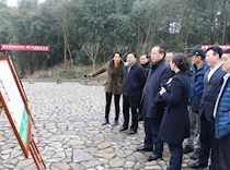 市政协副主席周克勤来到“海棠人家”