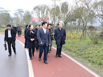 市政协副主席周克勤来到“海棠人家”