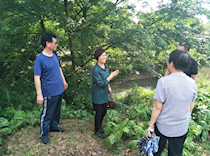 张秀荣副主席巡查宝兴河