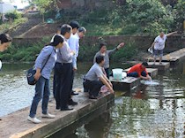 关注污水偷排直排乱排问题