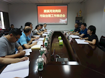 区领导督导濑溪河龙岗段治污工作