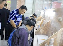 区政协委员专题调研石雕石材产业发展