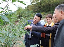 陈廷剑到宝顶调研扶贫工作