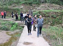 区政协重走小川东道