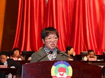 区政协召开二届四次会议第二次大会