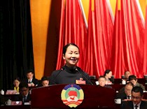 区政协召开二届四次会议第二次大会