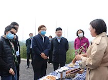 市政协副主席陈贵云来足调研