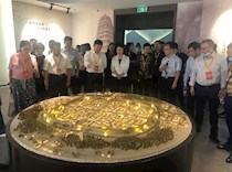 市、区政协委员视察海棠新城建设
