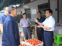 区政协副主席陈仲伦调研脱贫攻坚工作