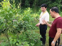 市区两级政协委员视察脱贫攻坚工作