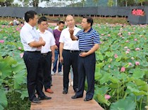 陈仲伦赴棠香街道办事处调研