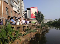 部分市区政协委员到潼南交叉调研  聚焦污水偷排直排乱排问题