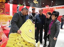重庆市大足政协专题调研鲤鱼灯产业发展情况
