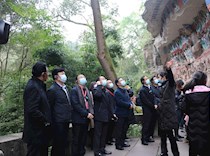 川渝八市区政协主席视察调研大足文旅产业