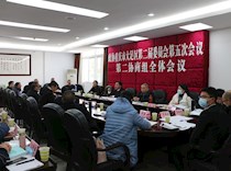 第二协商组