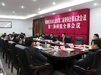 第三协商组
