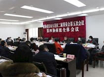 第四协商组