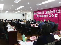 第五协商组