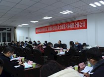 第六协商组
