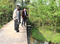 陈仲伦督导季家响水河