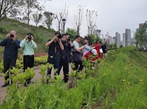 区政协组织委员采风