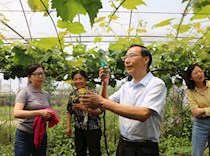 市政协理宣处来足调研