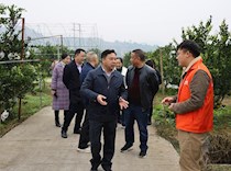 区政协赴中敖镇调研