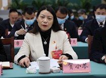 委员在区政协三届一次会议联组协商会议上发言