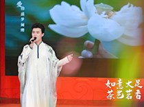 委员传承文化之“如意大足·茶艺茗香”活动举行