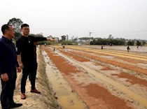 大足建设高标准农田