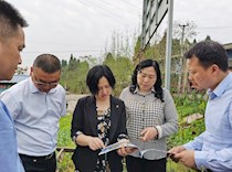 区政协副主席薛燕带领经济和农业农村委前往智凤街道现场办公
