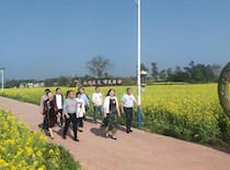 大足区政协调研重庆隆平五彩田园“农旅文商”发展