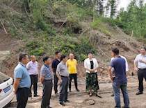 区政协副主席薛燕带领经济和农业农村委及相关委员到拾万镇将军村调研乡村振兴工作