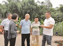 助力企业解困支招乡村振兴